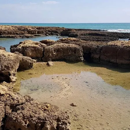 Apartment Sea View *